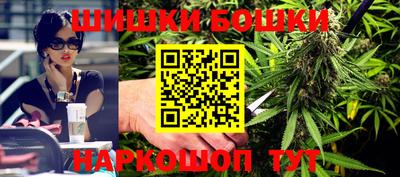 прущие крисы Будённовск