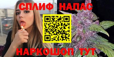 прущие крисы Будённовск