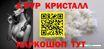 прущие крисы Будённовск