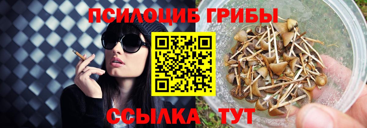 Ртищево  Галлюциногенные грибы мухоморы  Вход с VPN  Галлюциногенные грибы Psilocybine cubensis 