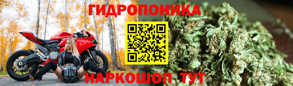 Бошки марихуана тримм Ртищево